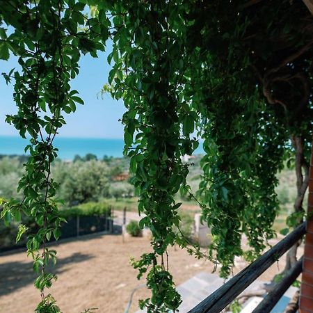 Villa Aiolos Alexandroupoli Bagian luar foto