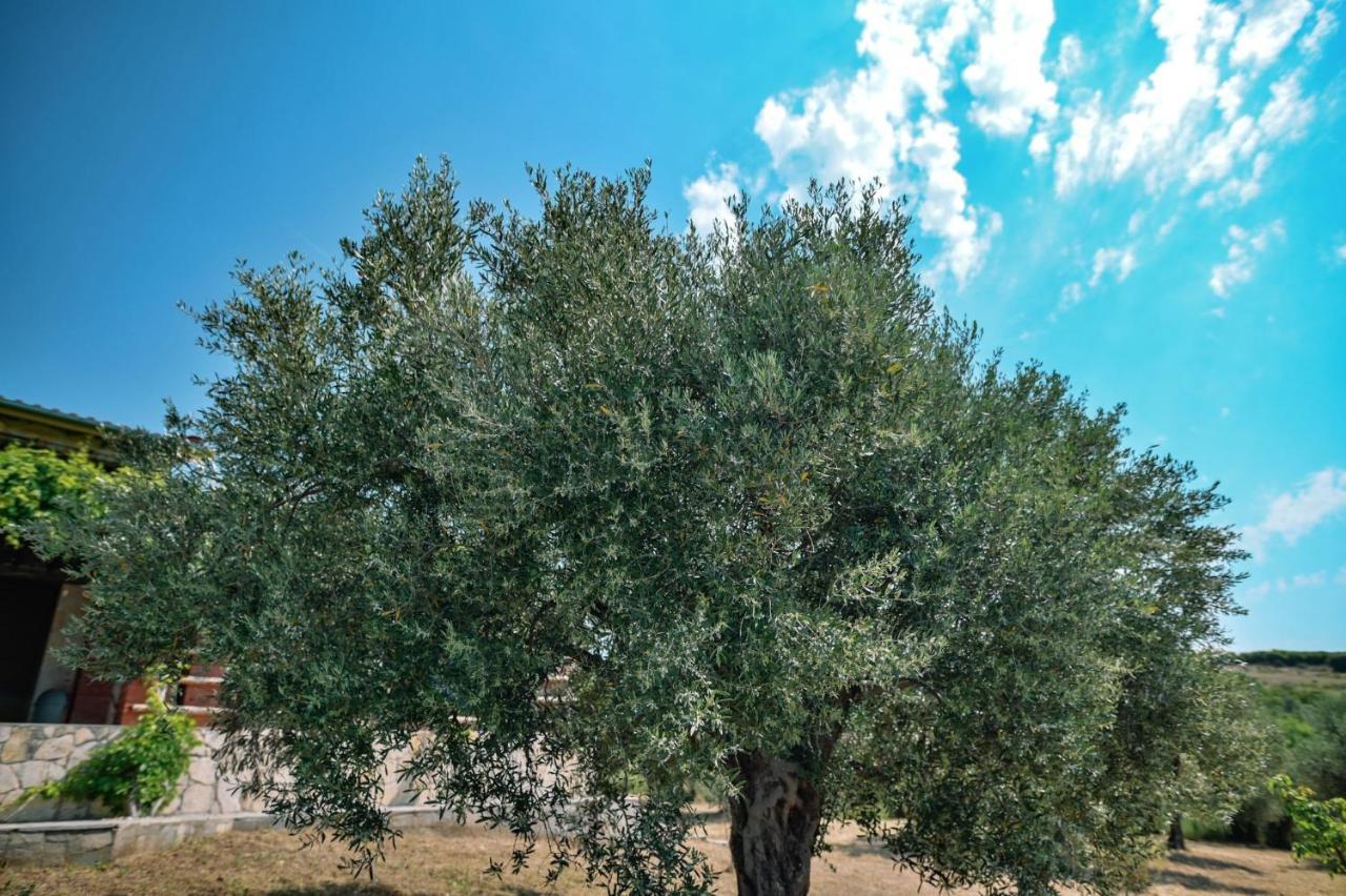 Villa Aiolos Alexandroupoli Bagian luar foto